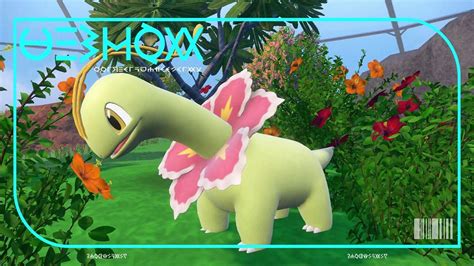 meganium build.